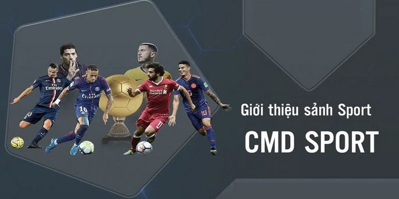 Sảnh Sports CMD với quy định nghiêm ngặt trong quá trình cá cược